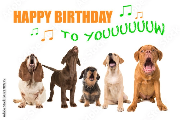Obraz Grupa psów różnych ras, patrząc śpiewając na białym tle z tekstem Happy Birthday to You