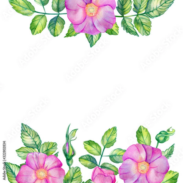 Obraz Watercolor square frame with rose hips.