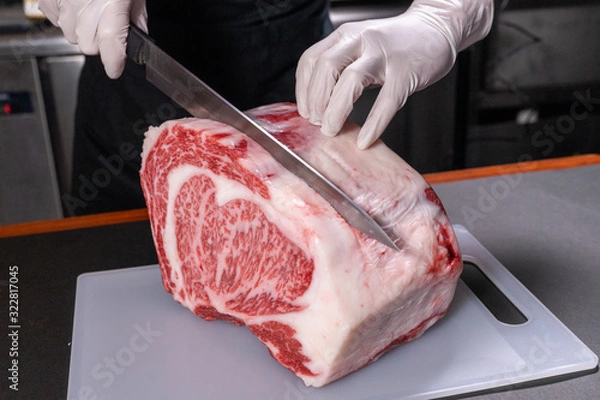 Obraz A4 wagyu, japanese meat/beef