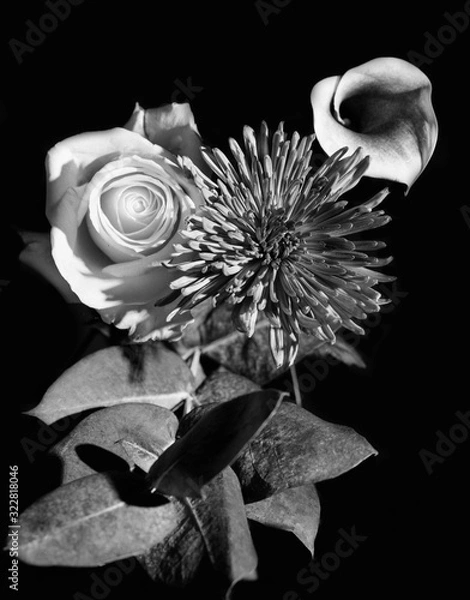Obraz Trio of Flowers on black background