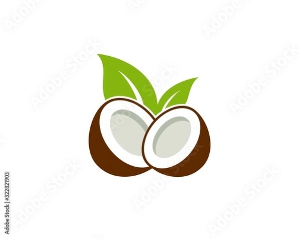 Fototapeta Coconut vector illustration