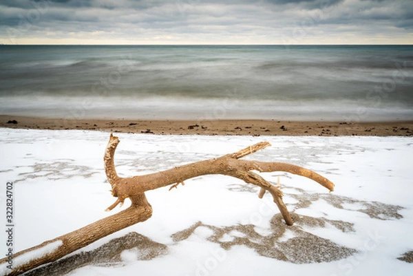 Obraz Driftwood at the beach