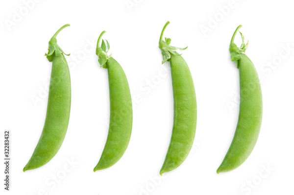 Obraz 横に並んだスナップエンドウ