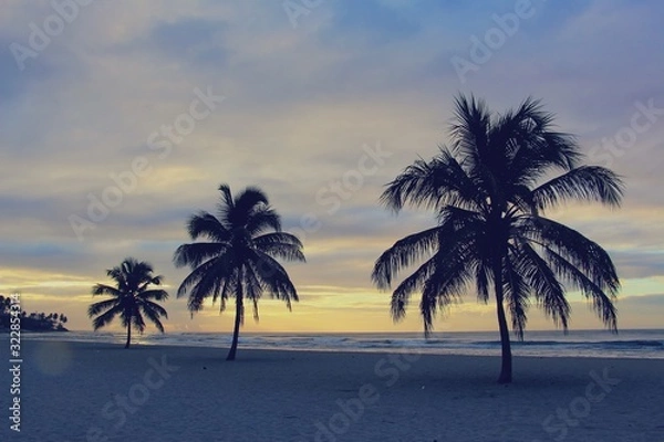 Fototapeta Colorful sunrise and huge palm trees on the beach in the Dominican Republic