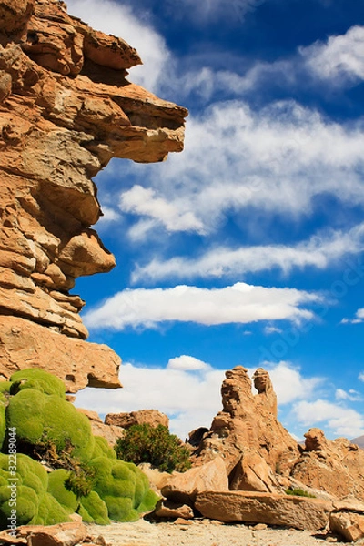 Obraz Rocks in Bolivia