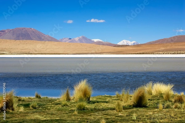 Obraz Laguna colorada, Bolivia