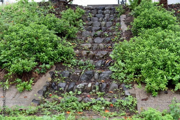 Fototapeta 雨　階段