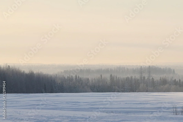 Fototapeta Winter nature landscape with snowy field, forest and gray sky