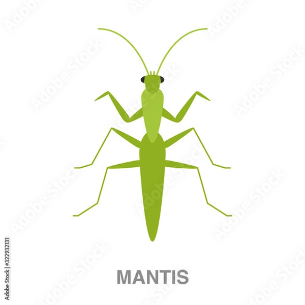 Fototapeta mantis flat icon on white transparent background. You can be used black ant icon for several purposes.	