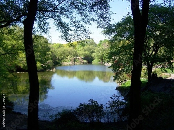 Obraz central park 3