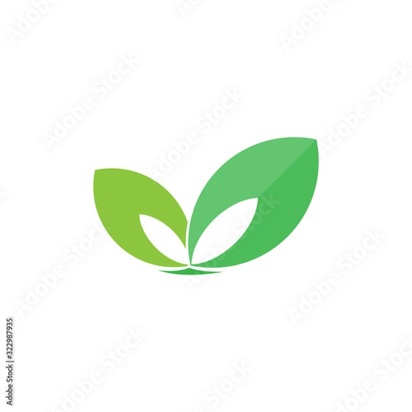 Fototapeta green leaf ecology nature element