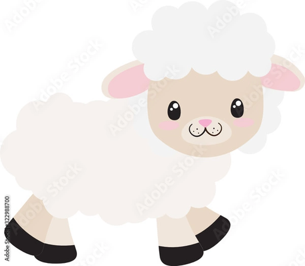 Fototapeta Cute Sheep