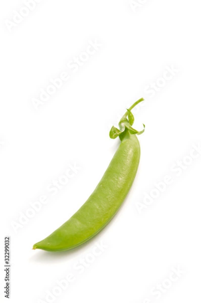 Obraz スナップエンドウ