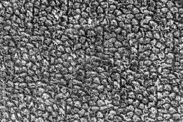 Fototapeta Black and white abstract background with patterns, monochrome rubber texture