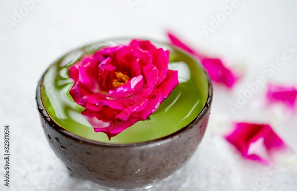 Obraz red rose in tea cup