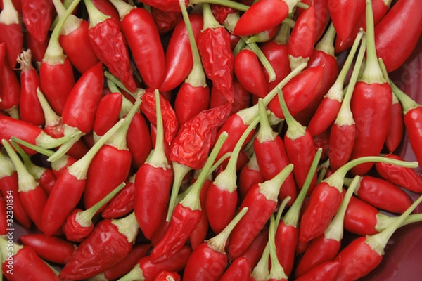 Obraz spice (chili) background