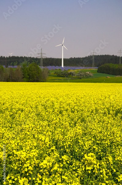 Obraz Raps und Windrad