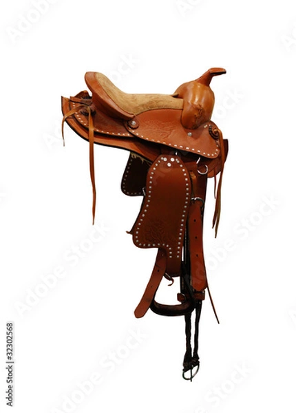 Obraz saddle