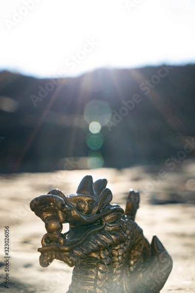 Obraz dragon on the rocks