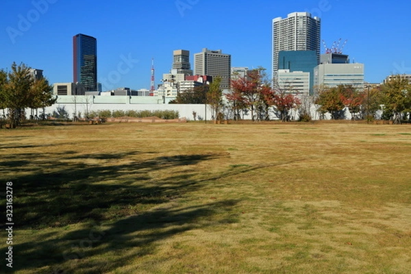 Obraz 芝浦の中央公園とオフィスビル群