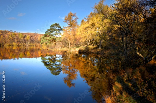 Obraz autumn reflections