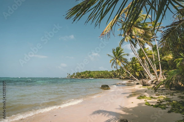 Fototapeta Caribbean beach