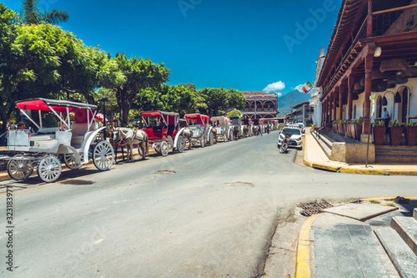 Fototapeta Parque central in Granada