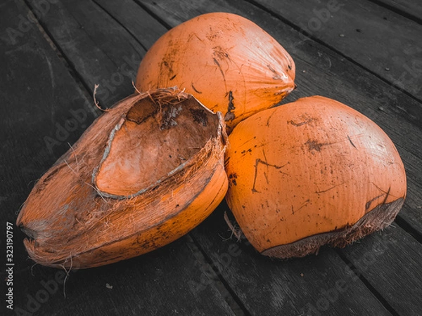 Fototapeta Damaged coconut skin