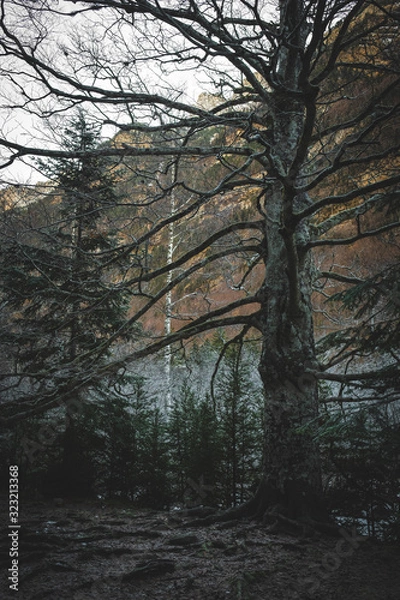 Obraz Biescas, Aragón. Spain