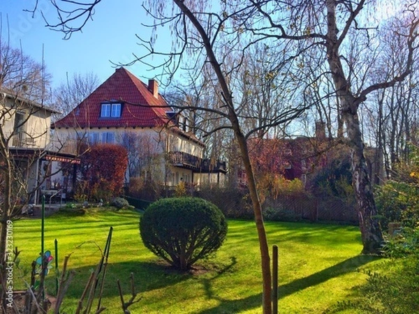 Obraz house in the forest