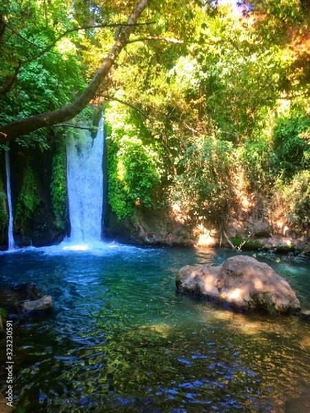 Obraz waterfall in the forest