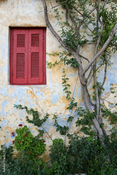 Fototapeta Red Window Shutter Framed by Vines