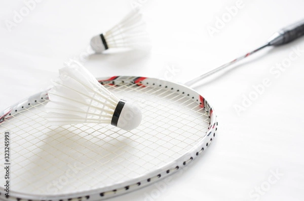 Obraz バドミントン