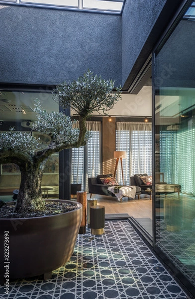 Obraz Terrace interior with olive tree in a luxury apartment