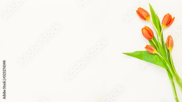 Obraz a bouquet of red tulip flowers cut out on white background for copy text flowers bouquet yellow green fresh spring