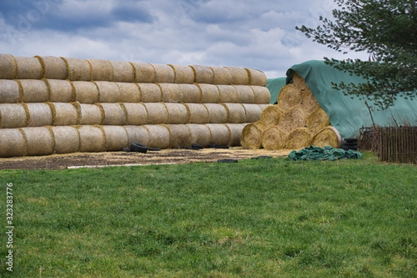 Obraz Große Strohballen als Vorrat für den Winter
