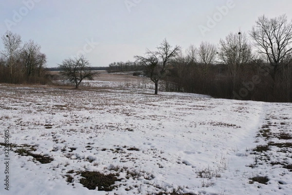 Obraz winter landscape  