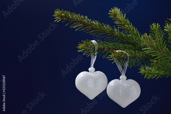 Fototapeta Still life for Valentine's day two silver hearts on a coniferous branch on a dark blue background, space for text.