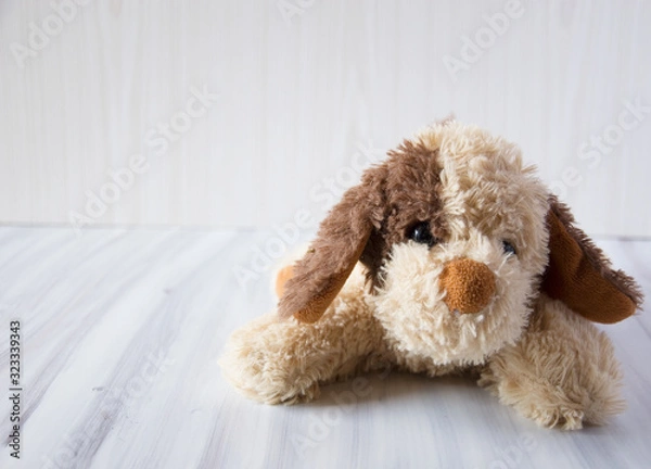 Obraz  plush dog
