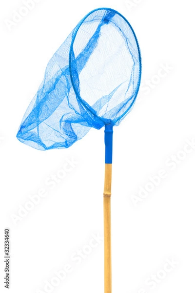 Obraz blue butterfly net