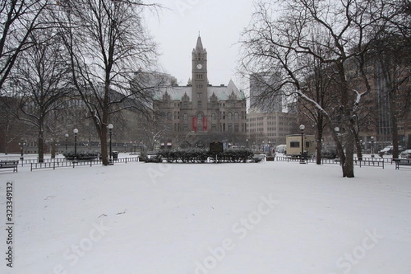 Obraz Federal Courthouse in Snow