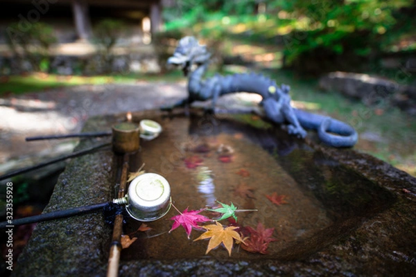 Obraz 日本の紅葉