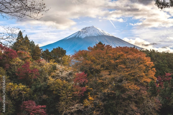 Obraz 富士山と紅葉