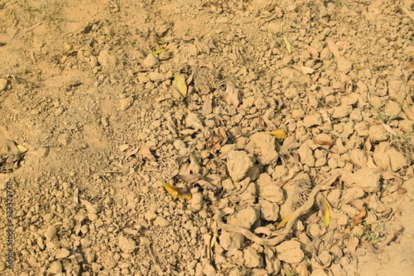 Obraz dry cracked earth