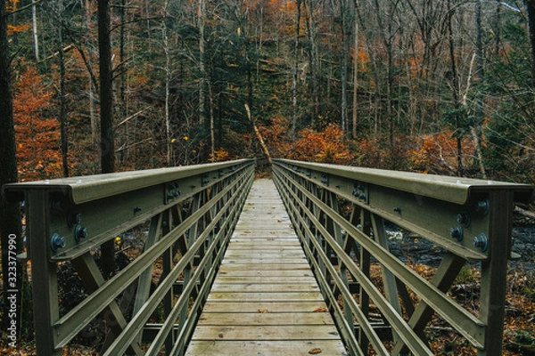 Fototapeta A Centered Shot of a Bridge in an Autumn Forest