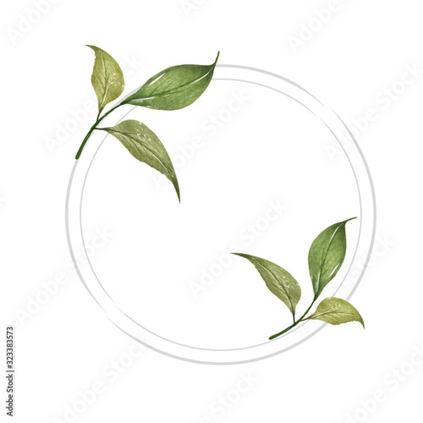 Fototapeta Watercolor composition with twigs on white background. Wreath, frame, border. Greeting card, poster, banner with space for text