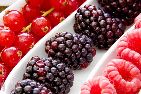 Obraz fresh barries close up