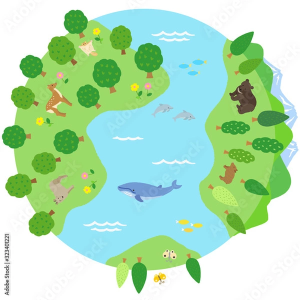 Fototapeta 自然にあふれた地球　動物　森