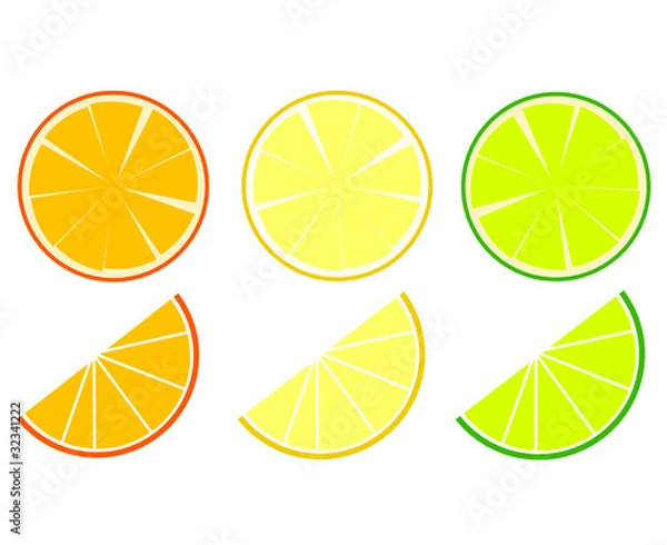 Fototapeta fruit exotic vector illustration