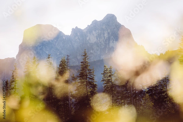 Obraz Berge im Herbst Laub Bokeh
